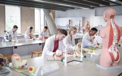 The Difference between a BA and BS in Biology