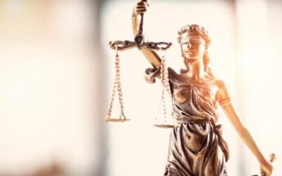 Translating Your Online Criminal Justice Education into the Field